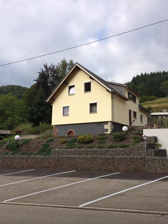 Ferienwohnungen Talblick Kirnbach  エクステリア 写真